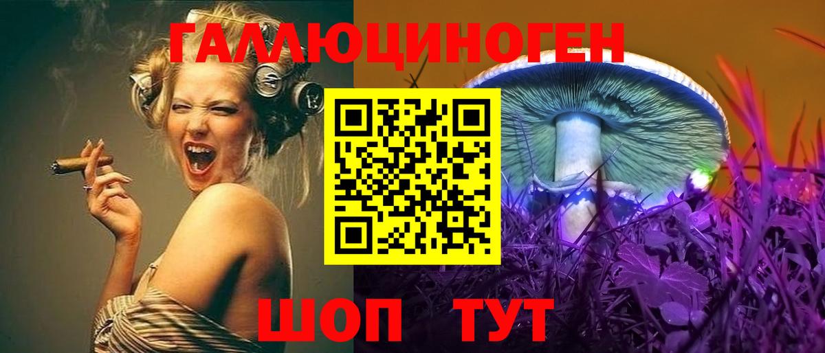 Псилоцибиновые грибы мицелий Щёкино