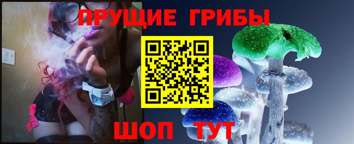 Щёкино  Галлюциногенные грибы Psilocybine cubensis  Вход с VPN 