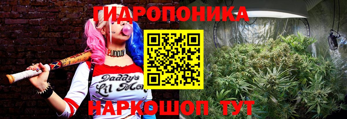 Марихуана VHQ  Вход с VPN  Бошки марихуана план  Щёкино  Марихуана Amnesia 